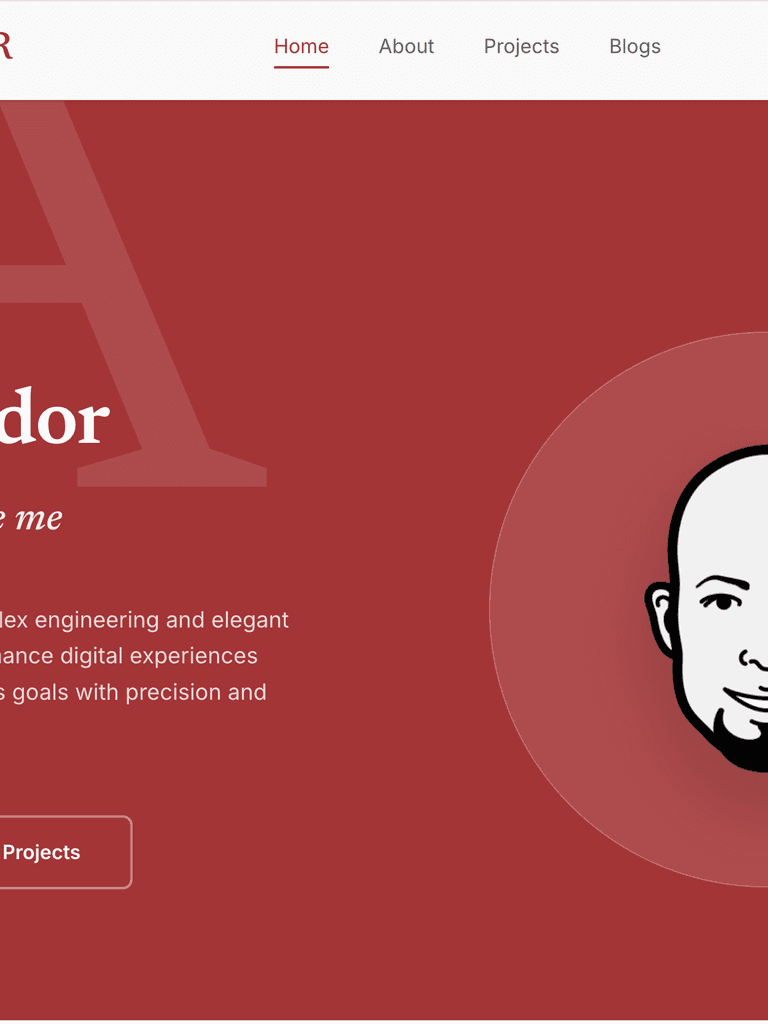 mrluisamador.com