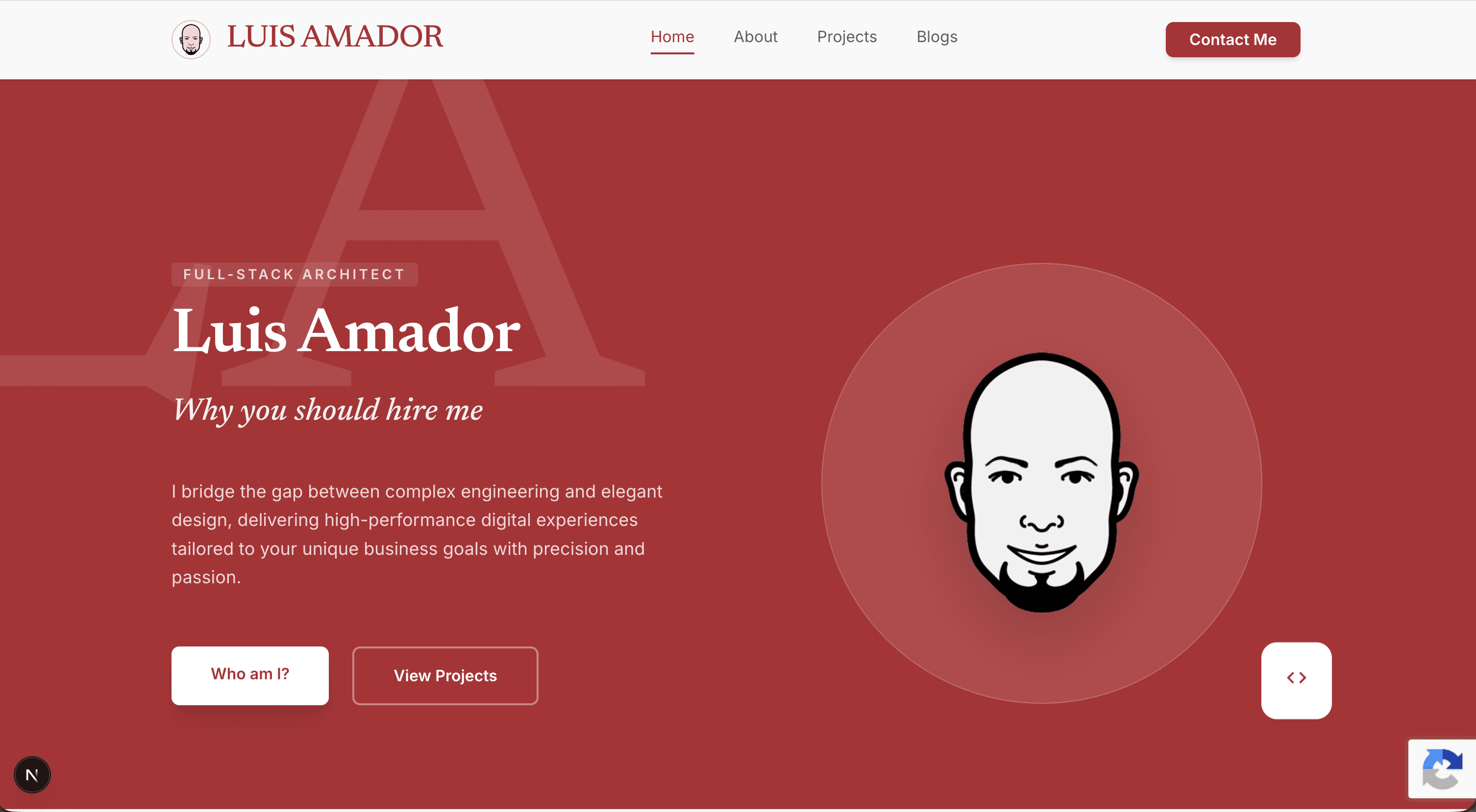 mrluisamador.com