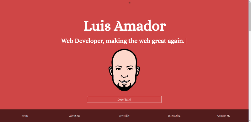 mrluisamador.com